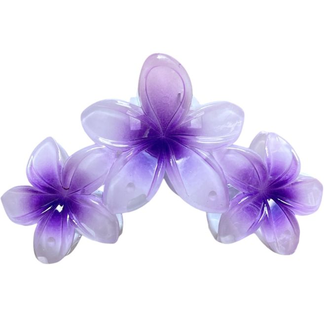 Hovedbilde Waikiki Glossy Lilla Hårklype